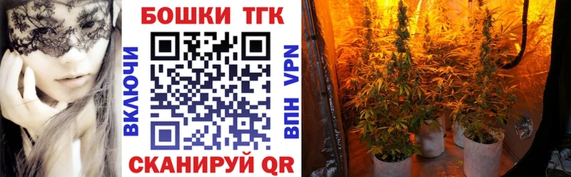 Сколько стоит Кировград Псилоцибиновые грибы  МЕТАМФЕТАМИН  ГАШ  Alpha-PVP  АМФ 