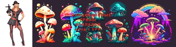 амф Абдулино