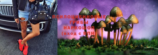 амф Абинск